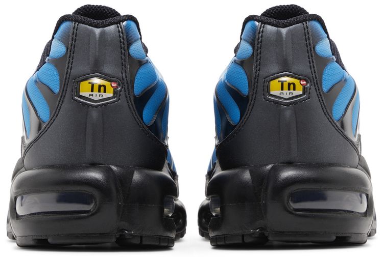 Nike Air Max Plus (WOMEN)