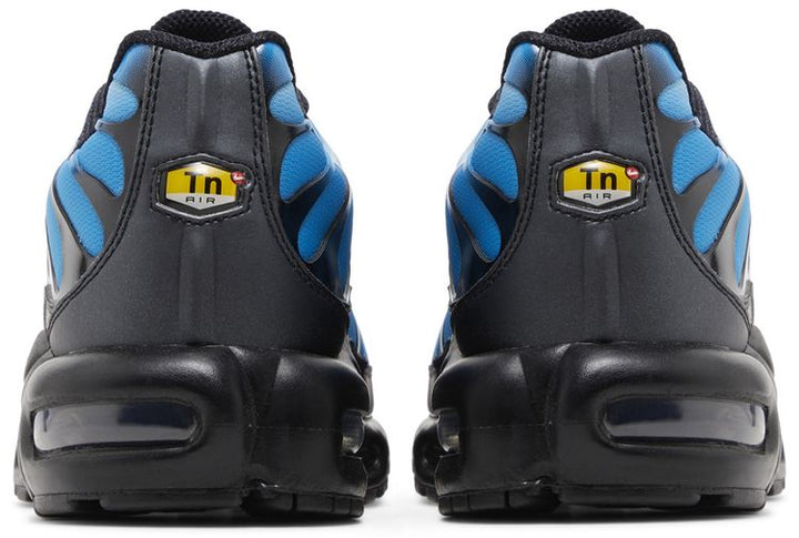 Nike Air Max Plus (WOMEN)