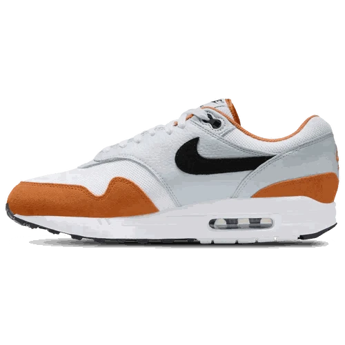 Nike Air Max 1 OG colorway for men