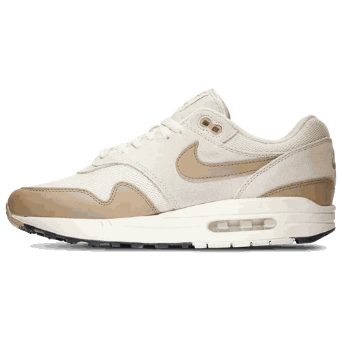 Nike Air Max 1 OG colorway for men